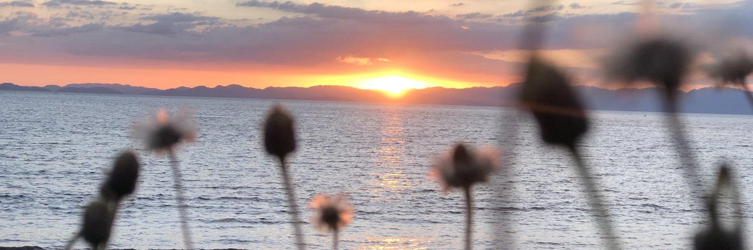 Gerall Chávez banner