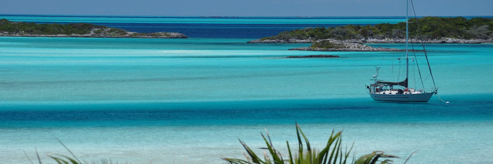 Jennifer Massaro banner