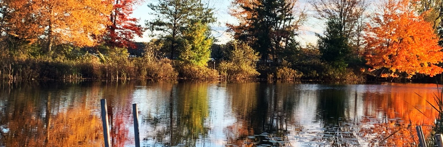 kptacek's profile banner image