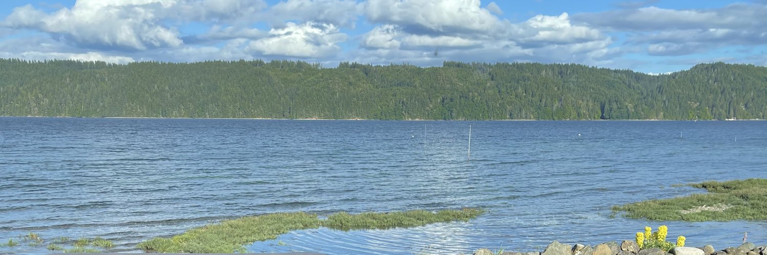 MCMGHomes's profile banner image