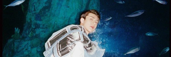 hiideulgi Profile Banner