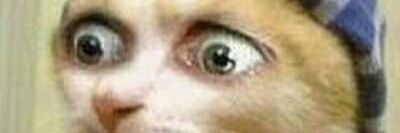 Pedriim ϟ rt no fixadoo'h ! banner