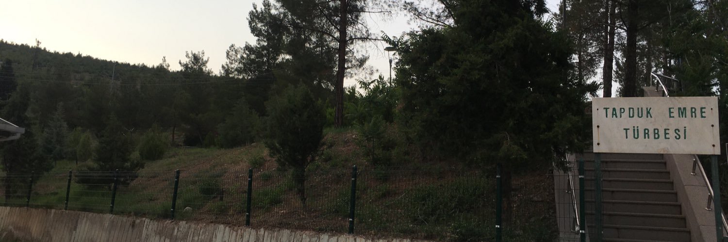ienesoner's profile banner image