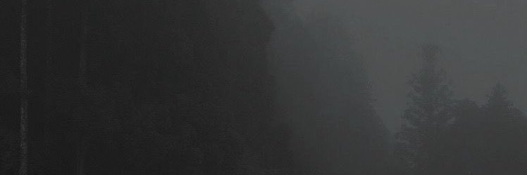 𝕞𝕦𝕤𝕖 𝕠𝕗 𝕪𝕠𝕦𝕣 𝕕𝕒𝕪𝕤. banner