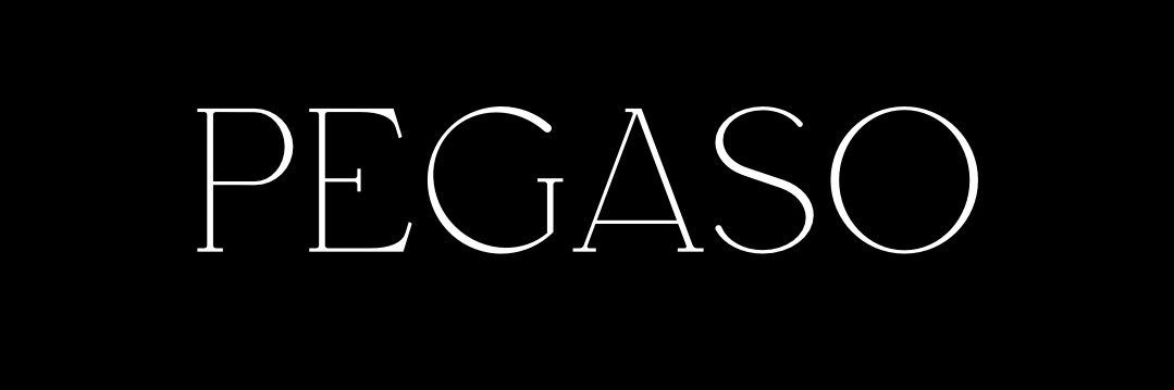 officialpegaso's profile banner image
