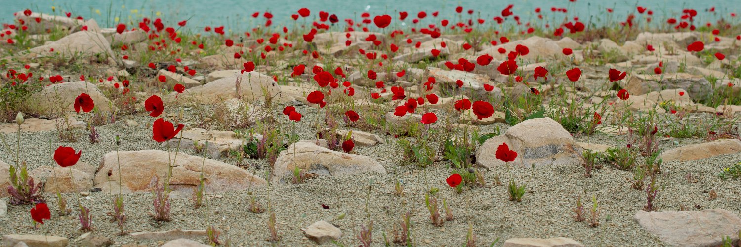 Gillian Murphy banner