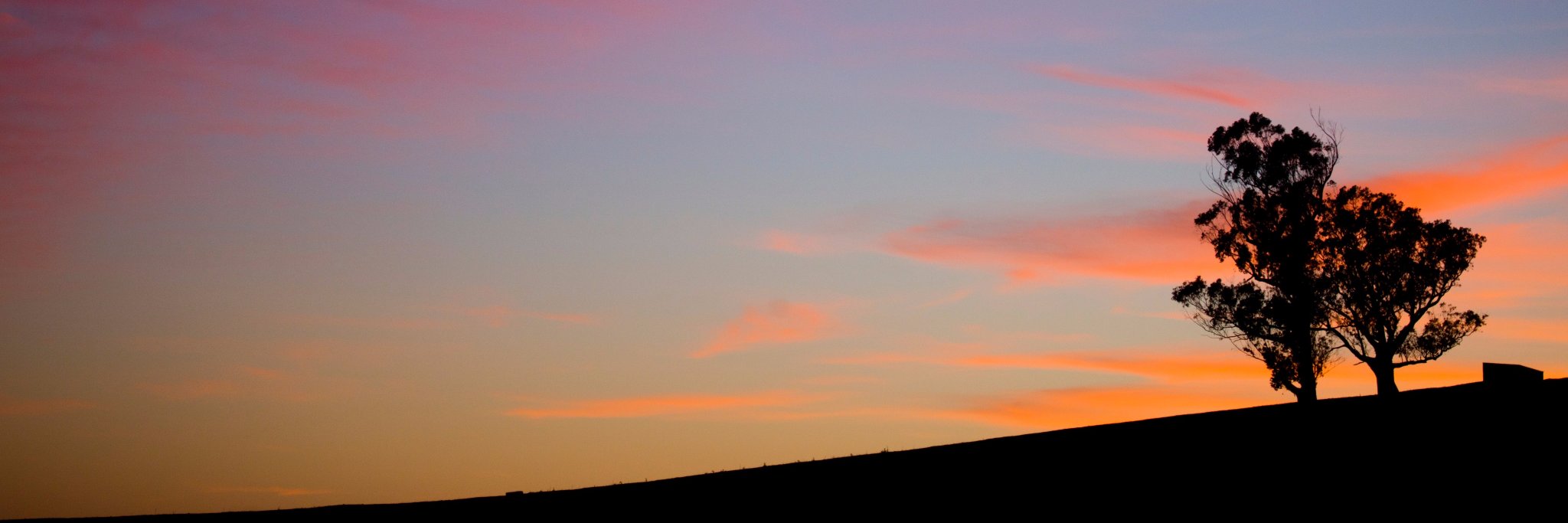 crisantisalde's profile banner image