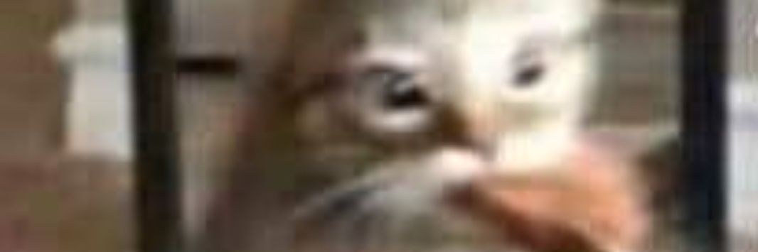 hferrtraba's profile banner image
