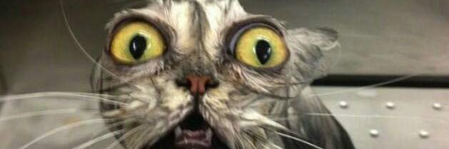 Felipe Cepeda banner