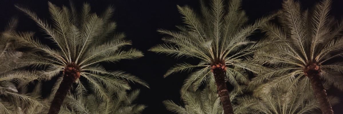 …. banner