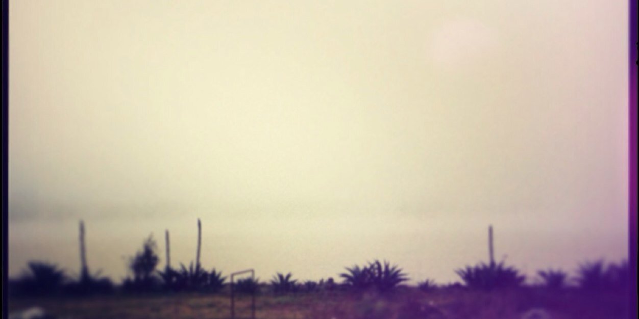 rosigl03's profile banner image