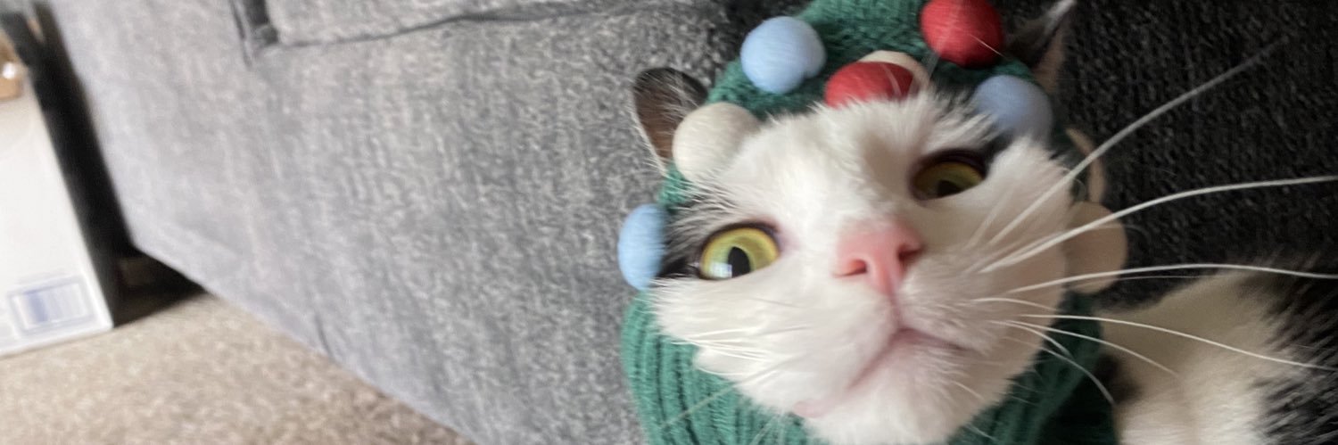 broiwillcry's profile banner image