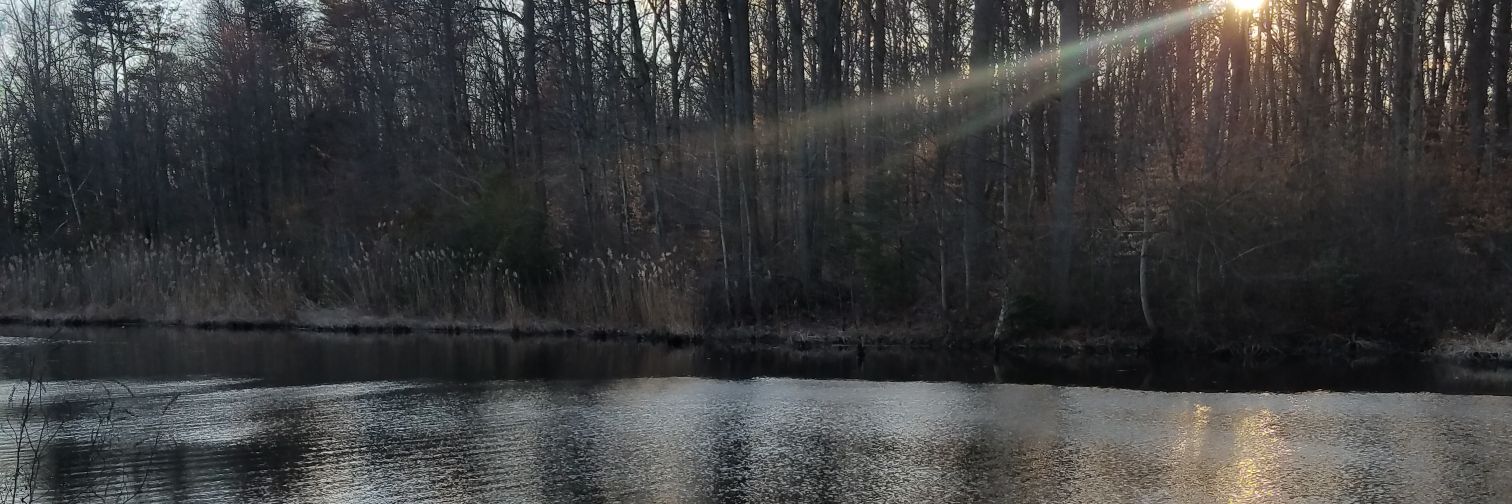 steve_hamrick's profile banner image