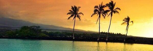 rake_79's profile banner image