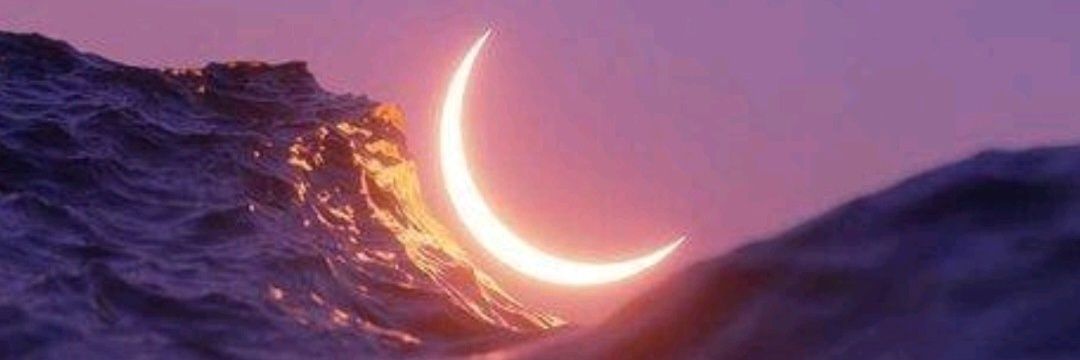 LadyandRee's profile banner image