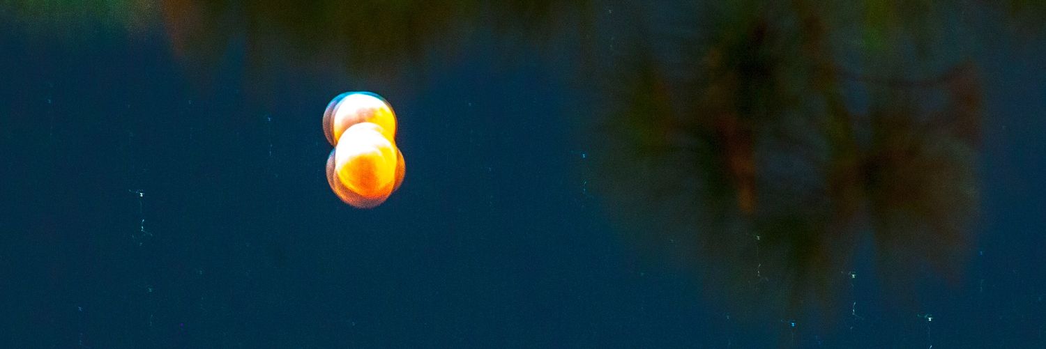 JenVisSooper's profile banner image