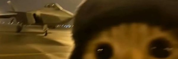 leafycs Profile Banner