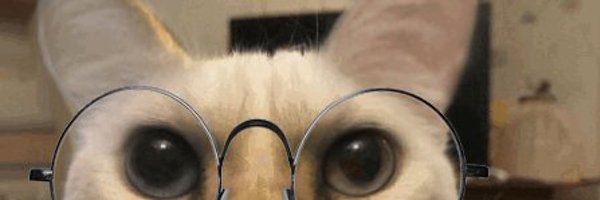 GirlSweatHuffer Profile Banner