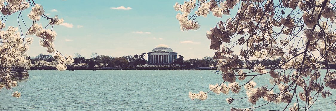 Amy Nemirovsky, MD, MS banner