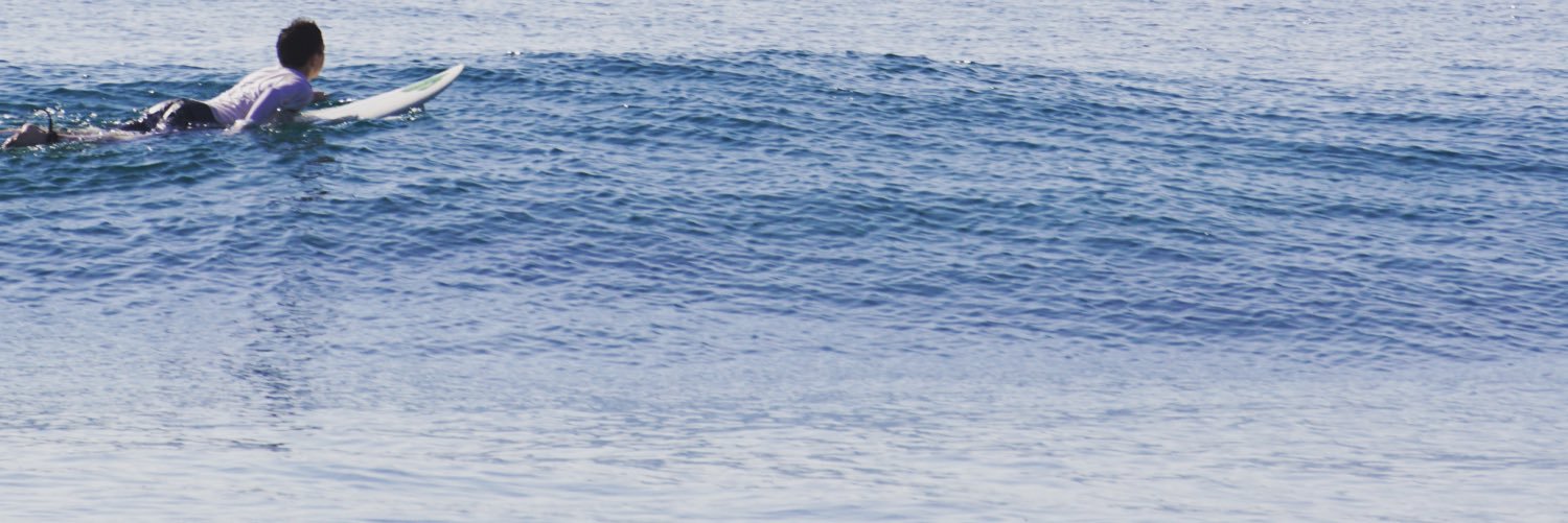 Seamus McCarthy banner