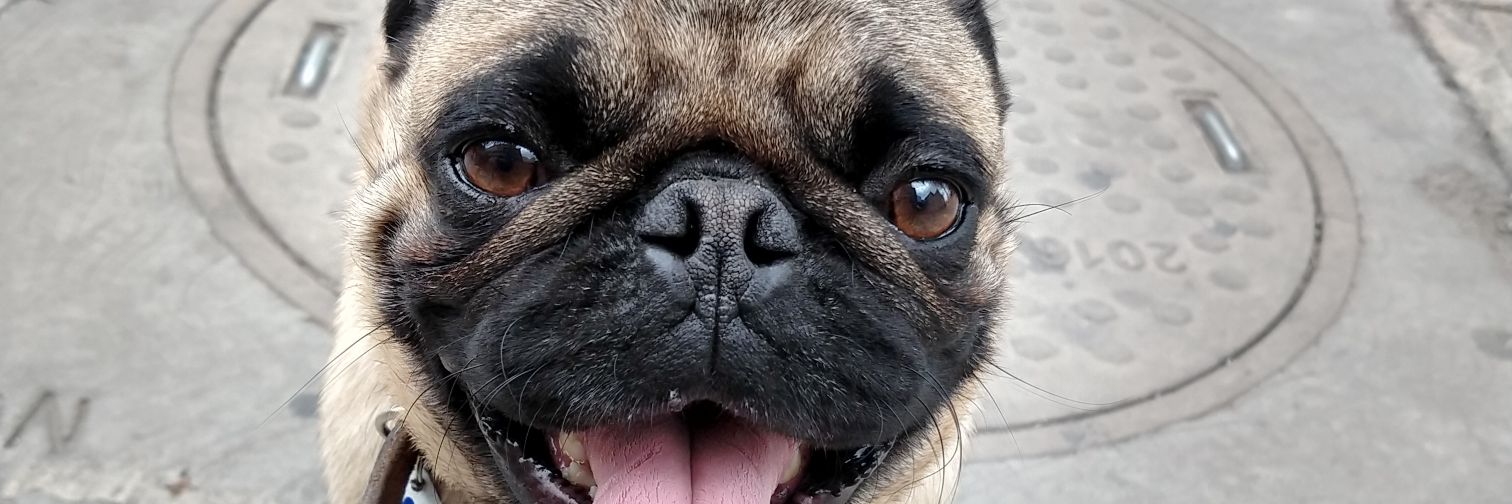 Jimmynoteburles's profile banner image