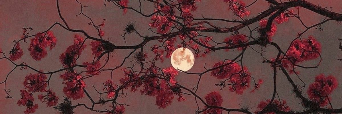 herald of injury banner