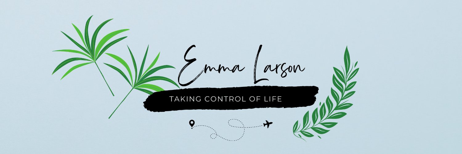 EmmiLarson's profile banner image
