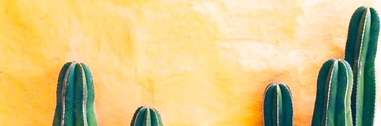 isilkoo's profile banner image