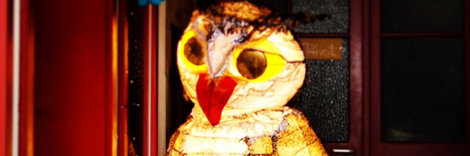 midilli_cigdem's profile banner image