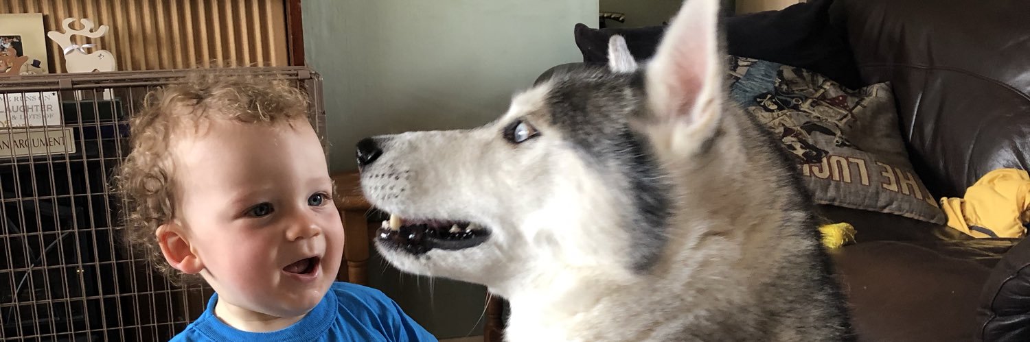 Gemmyvee's profile banner image