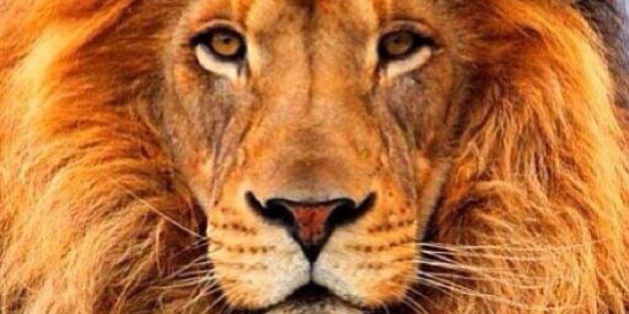 JohnMiranda32's profile banner image