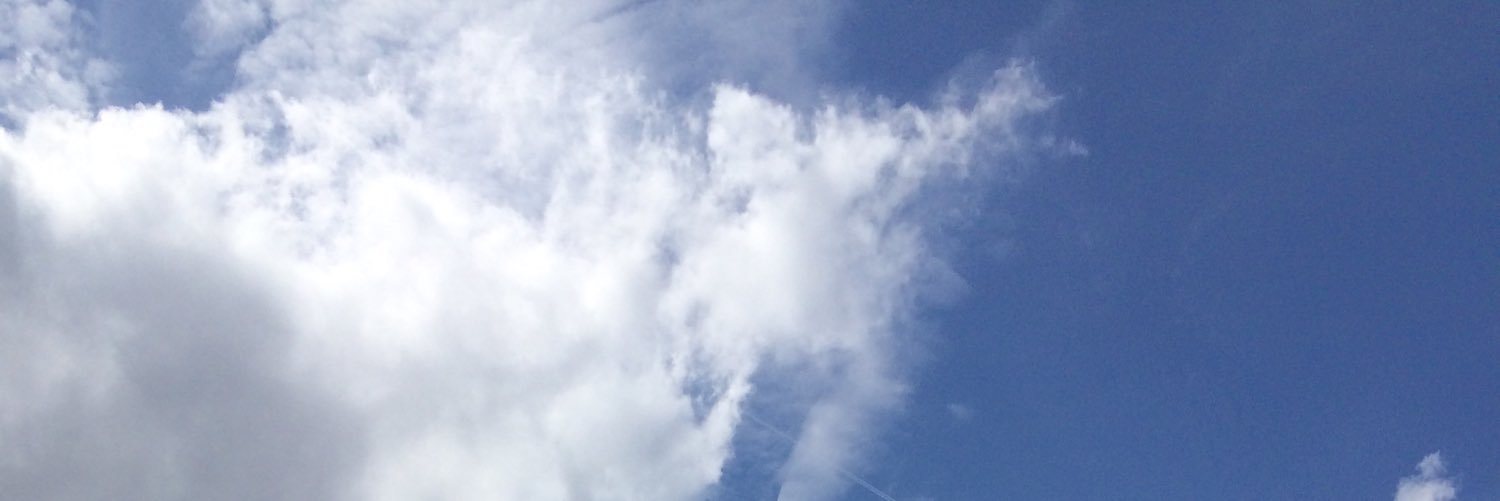 anne_er's profile banner image