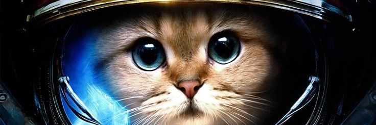 a_abduzida's profile banner image