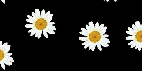 VickyHosana's profile banner image