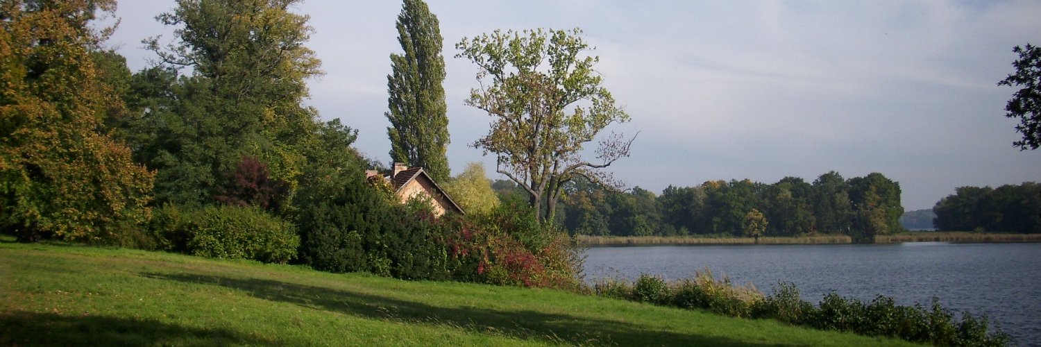 Weidenröslein🌸 banner