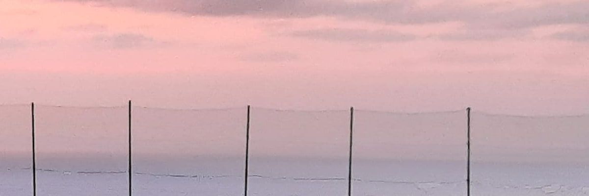 Hernandezzz11 banner