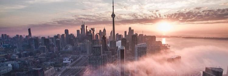 PVasheesh's profile banner image