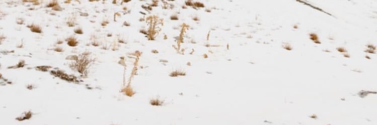 veraww's profile banner image