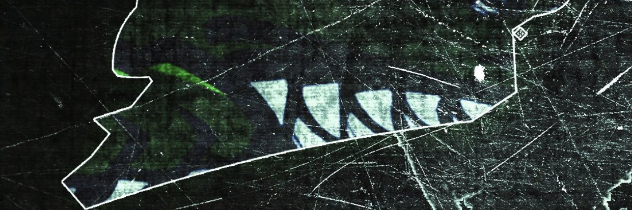 realDevinJW's profile banner image