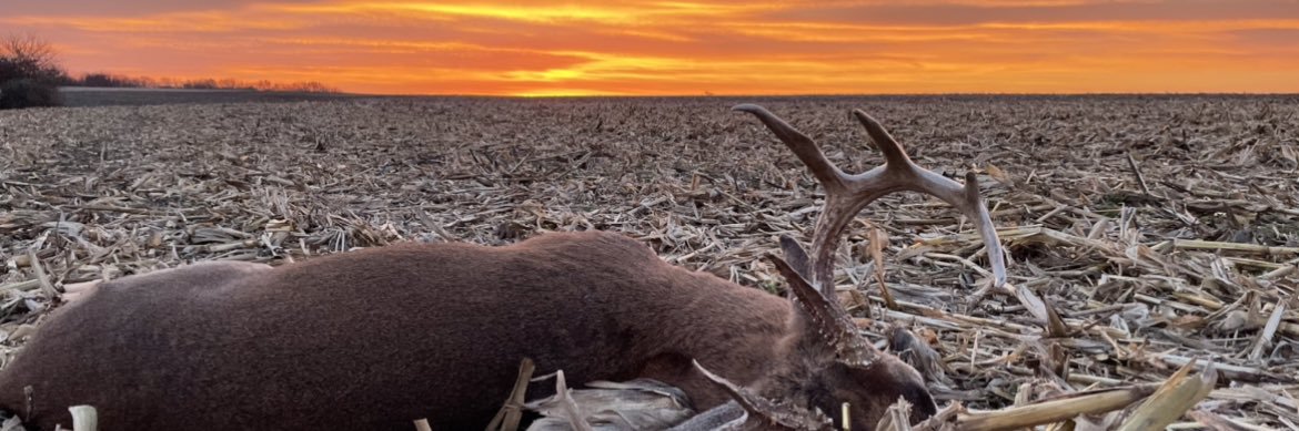 ericallen41's profile banner image