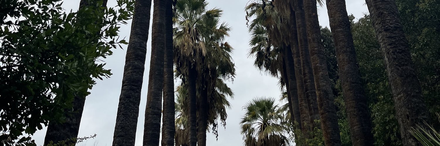 salmaa5_'s profile banner image