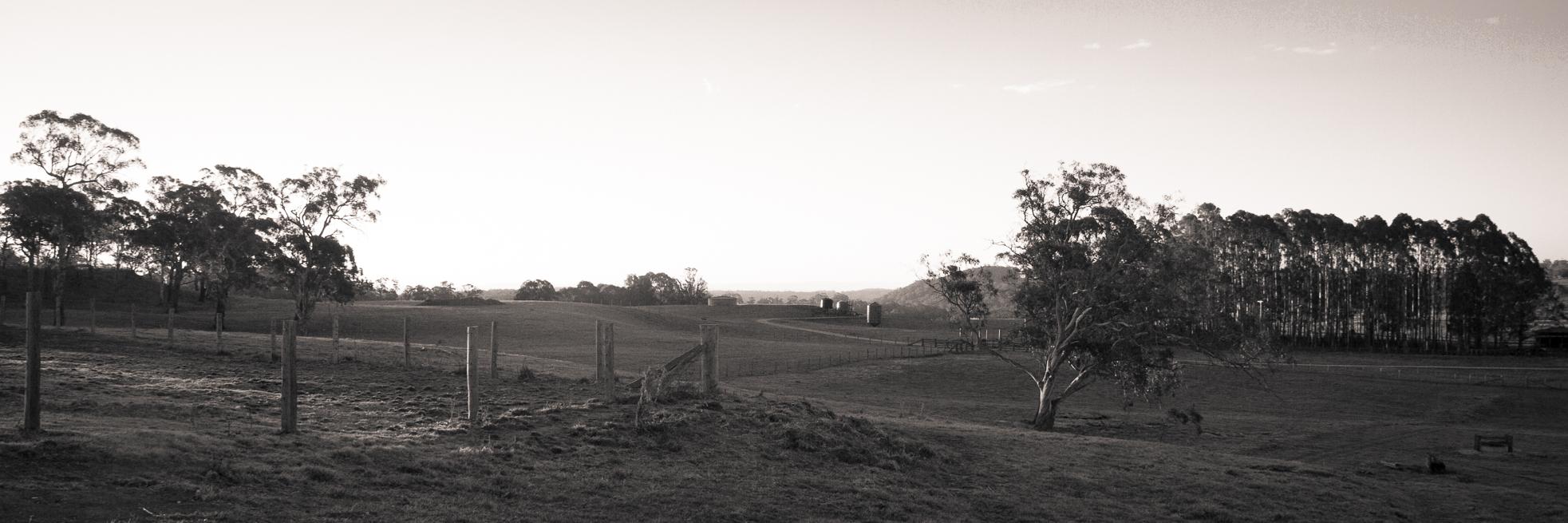 Bart Davidson banner