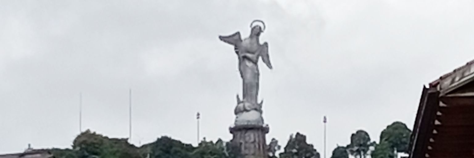 Cazareslo's profile banner image