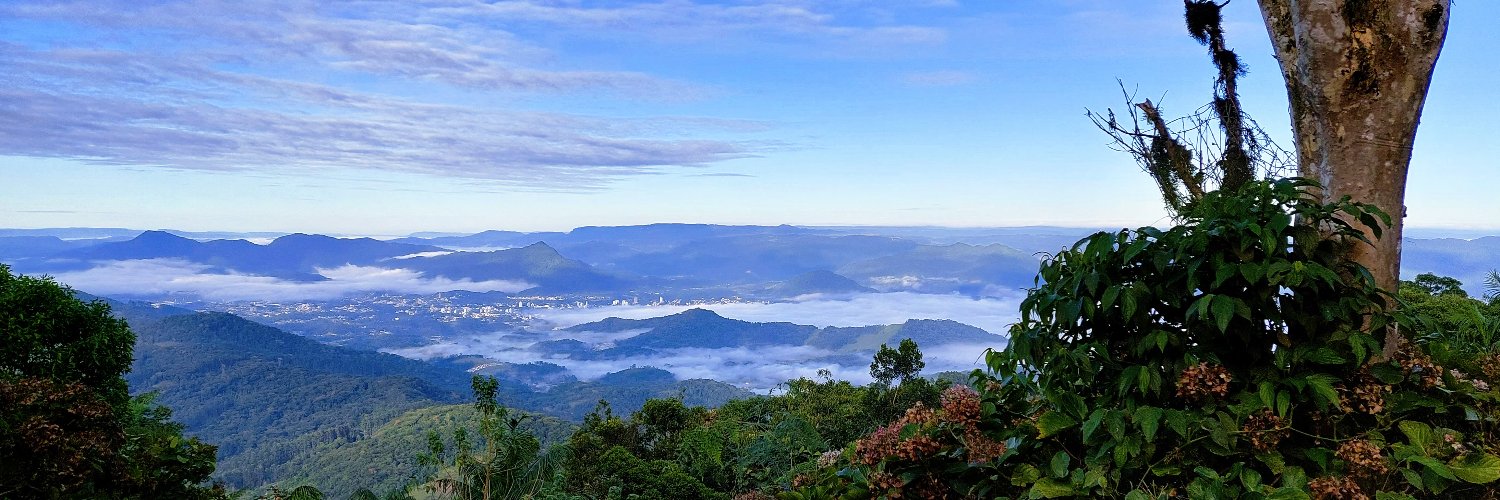 Silvano Schröder banner
