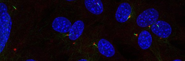 GoetzLab Profile Banner
