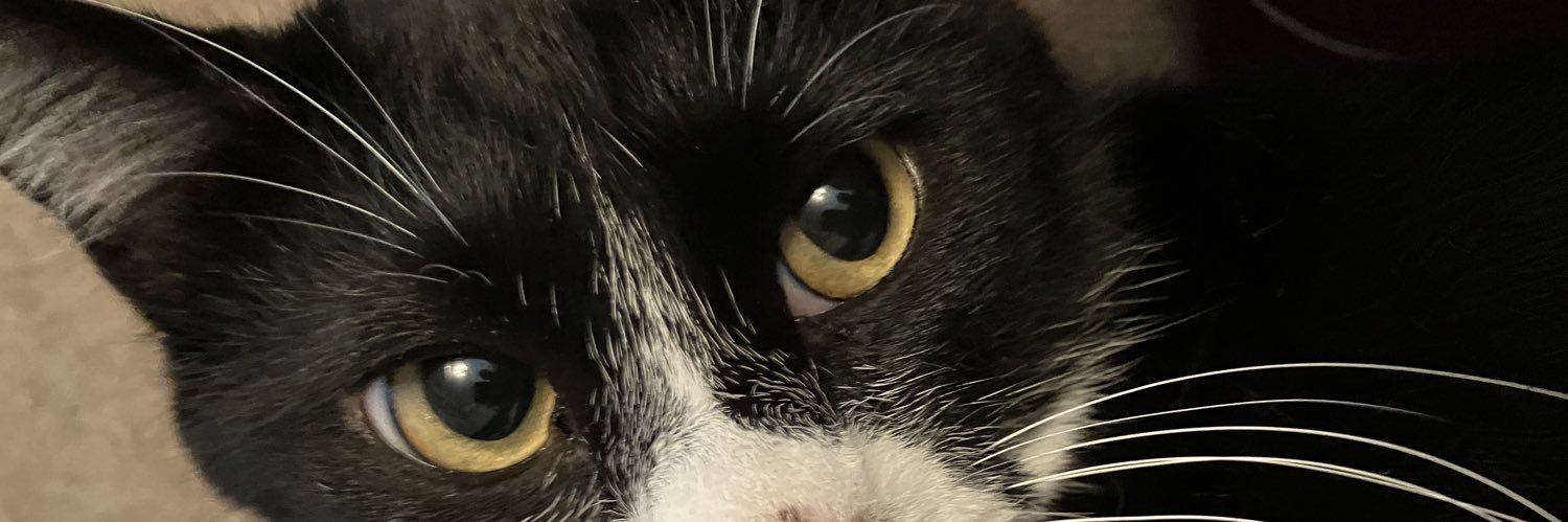 bodoge3's profile banner image