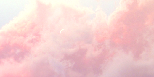 ltsAlysaa's profile banner image