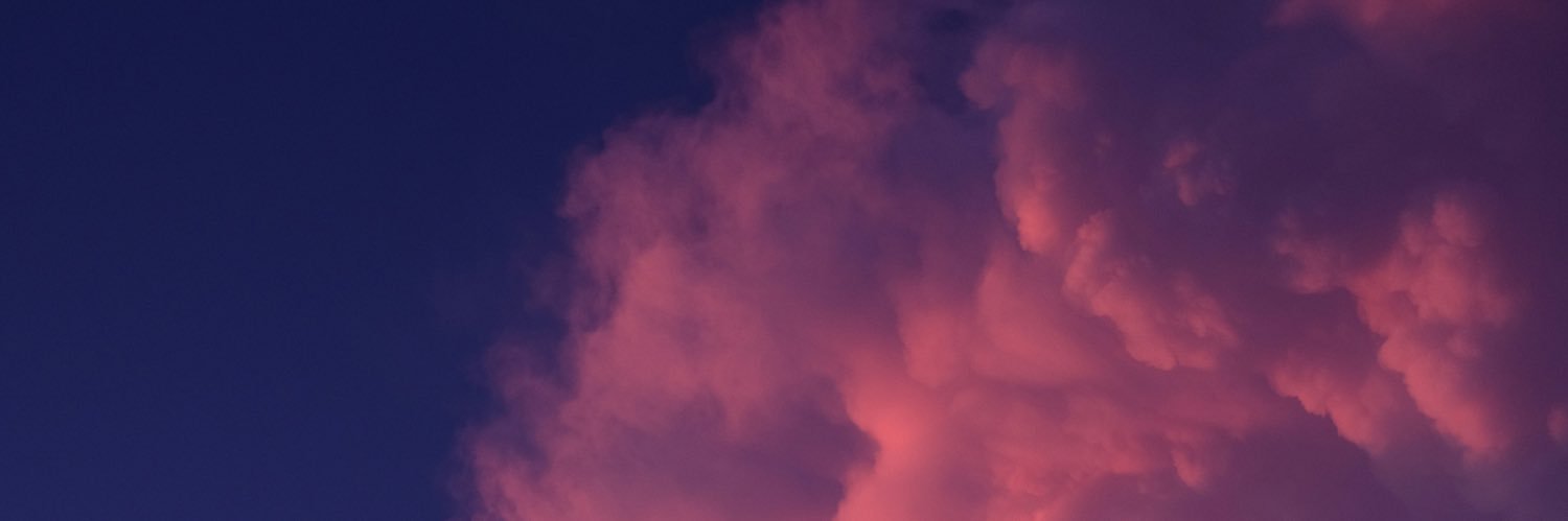 𝐀𝐧𝐧𝐚 𝐌𝐞𝐫𝐜𝐚𝐫 💜 banner