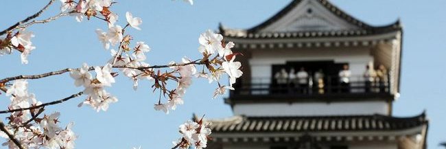 高知新聞's banner