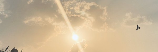 AnandiniDar Profile Banner